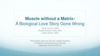 Muscle without a Matrix: A Biological Love Story Gone Wrong