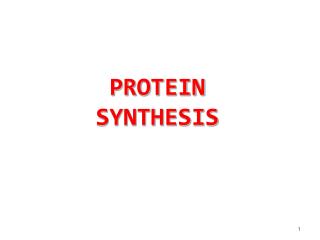 PROTEIN SYNTHESIS