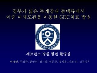 경부가 넓은 두개강내 동맥류에서 이중 미세도관을 이용한 GDC 치료 방법