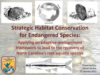 Strategic Habitat Conservation for Endangered Species: