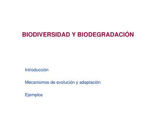 BIODIVERSIDAD Y BIODEGRADACIÓN