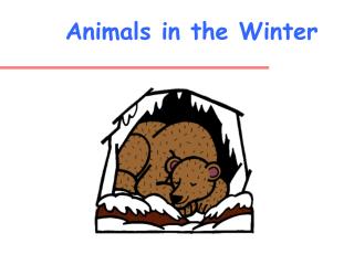 Animals in the Winter