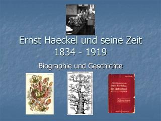 Ernst Haeckel und seine Zeit 1834 - 1919