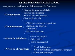 ESTRUTURA ORGANIZACIONAL