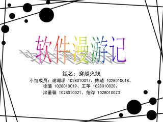 组名：穿越火线 小组成员：谢珊珊 1028010017 、陈璐 1028010018 、 徐璐 1028010019 、王苹 1028010020 、