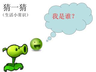 我是谁？