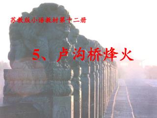 中间大的是小约翰 · 施特劳斯，底端的是施拉莫尔。其余自顶端顺时针依次为：约瑟夫 · 兰纳，约瑟夫 · 施特劳斯，爱德华 · 施特劳斯，拜尔，米勒克，法尔 · 巴赫，奇雷尔和老约翰 · 施特劳斯。