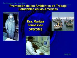 Promoción de los Ambientes de Trabajo Saludables en las Américas