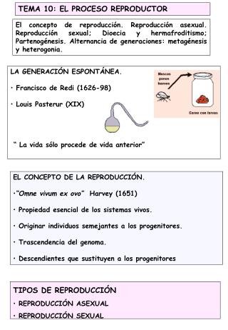 TEMA 10: EL PROCESO REPRODUCTOR