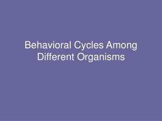 Behavioral Cycles Among Different Organisms