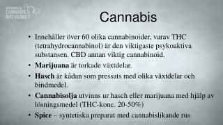 Cannabis