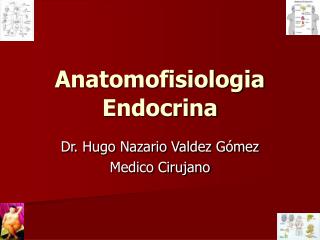 Anatomofisiologia Endocrina