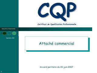 CQP Certificat de Qualification Professionnelle