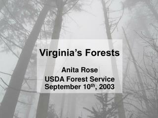 Anita Rose USDA Forest Service September 10 th , 2003
