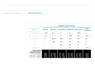 Business Risk Factors