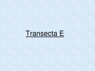 Transecta E