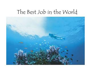 The Best Job in the World
