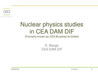 Nuclear physics in CEA DAM DIF in numbers