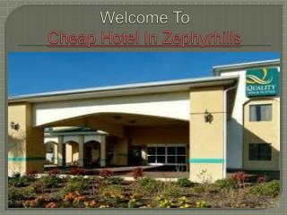 Cheap Hotel In Zephyrhills,
