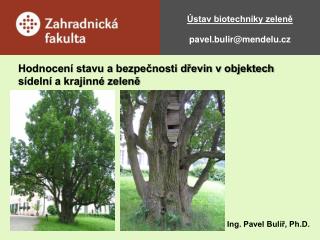 Ústav biotechniky zeleně pavel.bulir@mendelu.cz