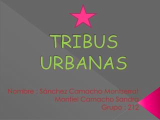 TRIBUS URBANAS