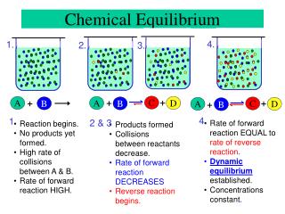 Chemical Equilibrium