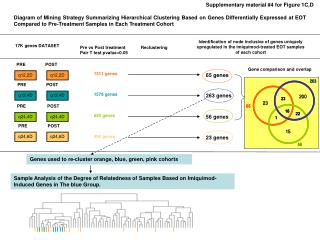 17K genes DATASET