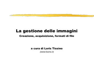 La gestione delle immagini Creazione, acquisizione, formati di file a cura di Loris Tissìno