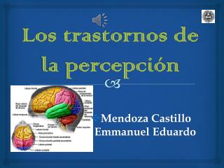 Los trastornos de la percepción