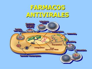 FARMACOS ANTIVIRALES