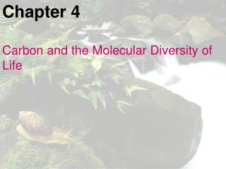 Chapter 4 Carbon and the Molecular Diversity of Life