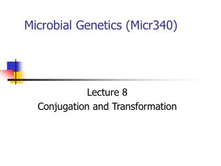 Microbial Genetics (Micr340)