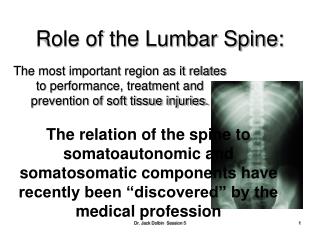 Role of the Lumbar Spine: