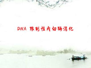 DNA 限制性内切酶消化