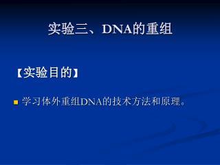 实验三、 DNA 的重组