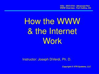 How the WWW &amp; the Internet Work