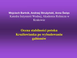 Ocena stabilności potoku Krużlowianka po wybudowaniu gabionów