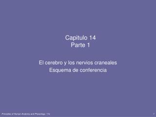 Capitulo 14 Parte 1