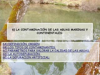 6) LA CONTAMINACIÓN DE LAS AGUAS MARINAS Y CONTINENTALES: