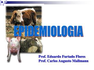 EPIDEMIOLOGIA