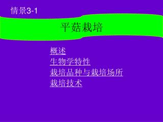 平菇栽培