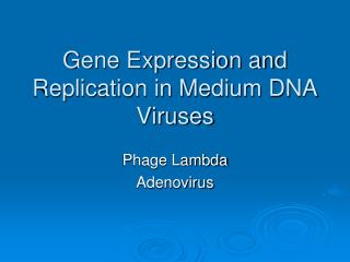 Gene Expression and Replication in Medium DNA Viruses