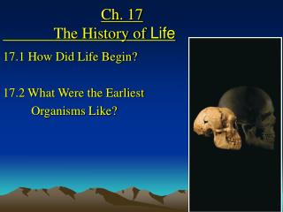 Ch. 17 The History of Life