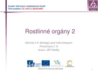Rostlinné orgány 2