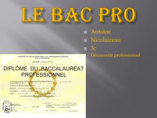 Le bac pro