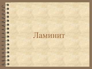 Ламинит