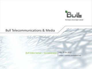 Bull Telecommunications &amp; Media