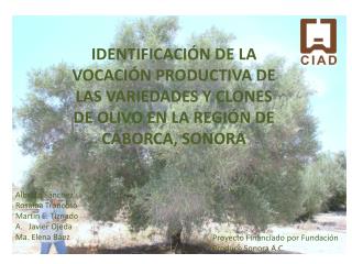 Proyecto Financiado por Fundación Produce Sonora A.C.