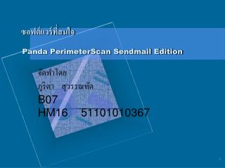 ซอฟต์แวร์ที่สนใจ Panda PerimeterScan Sendmail Edition