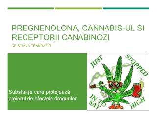 Pregnenolona , Cannabis - ul si receptorii canabinozi
